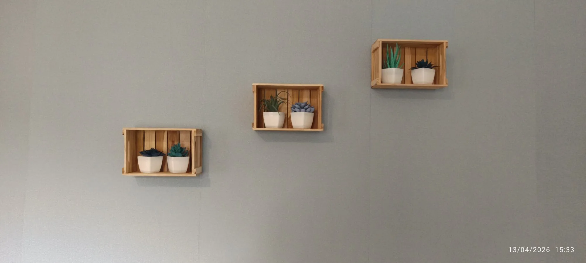 Trois petites caisses en bois accrochées en diagonale sur un mur gris, contenant chacune des plantes grasses dans des pots blancs.