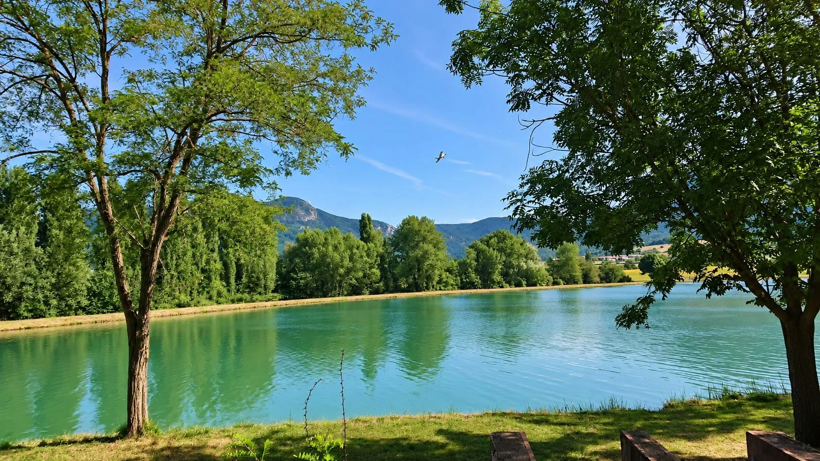 Le lac de Puivert vu entre deux grands arbres, avec la berge, les reflets verts de l'eau et les collines.