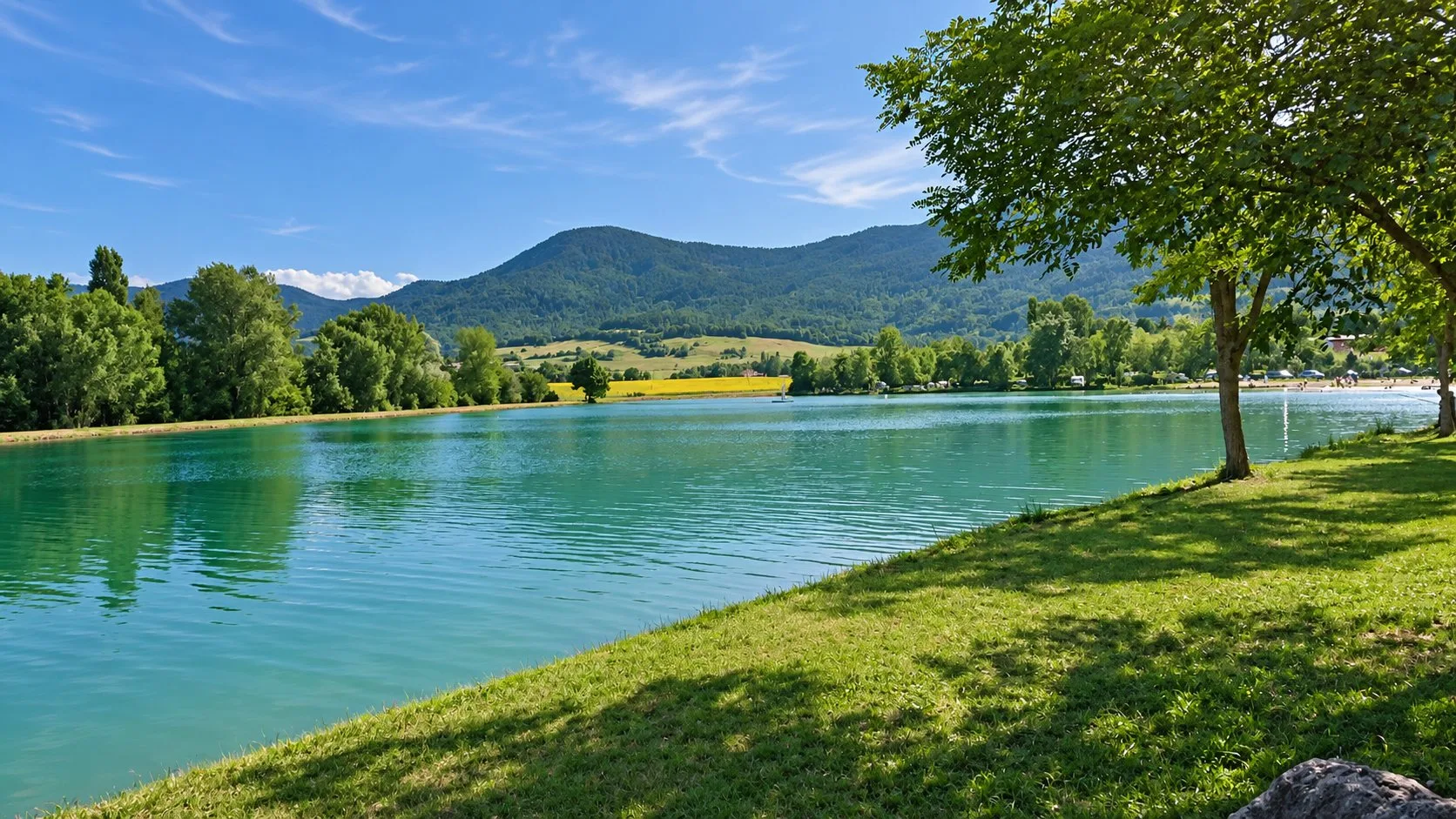 Le lac de Puivert, son eau verte, un grand arbre sur la rive herbeuse et les collines au loin.