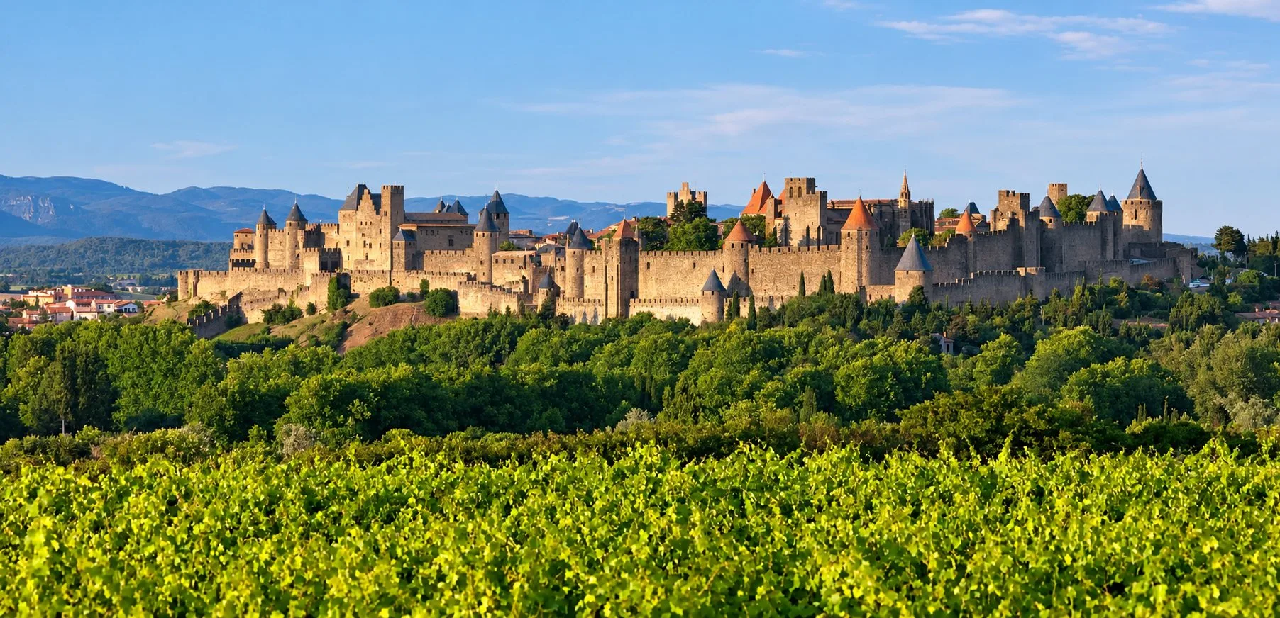 La cité de Carcassonne et ses remparts au-dessus de vignes, sous un ciel clair.